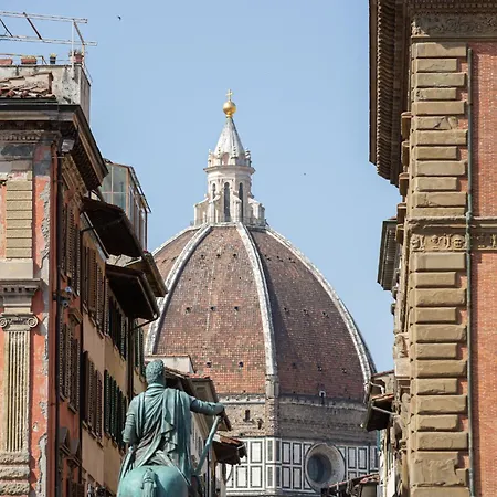 Daire David Sweet Floransa